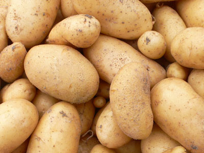 Στο πλευρό των πατατοκαλλιεργητών ο Ντίνος Χατζηνικόλας