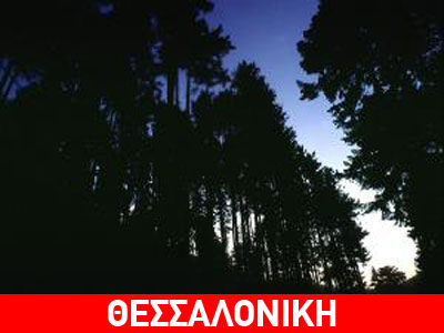 Την παράτησαν δεμένη σε δάσος