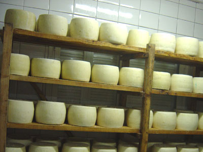 Διάρρηξη σε τυροπωλείο