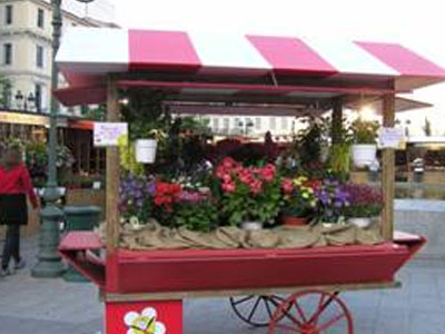 Ανθοκομική έκθεση στην πλατεία Κοτζιά