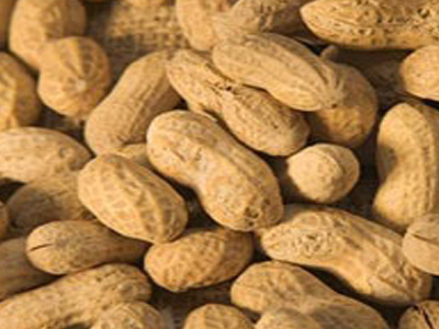 Κατασχέθηκαν χιλιάδες κιλά ακατάλληλων φιστικιών