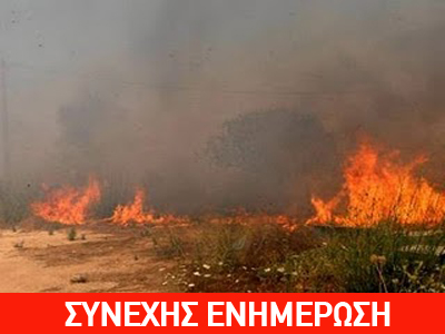 Πυρκαγιά στη Μάκρη Αλεξανδρούπολης