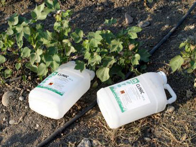 Διαμαρτυρία για φυτοφάρμακο – θάνατο