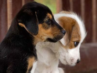 ΤΑ ΝΕΑ ΤΟΥ ΜΠΙ-ΚΟΥ-ΤΙ