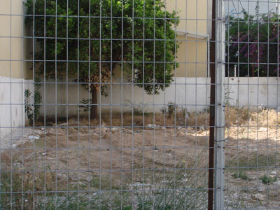 Πεταμένα ανθρώπινα κρανία σε αυλή σπιτιού