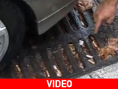 Των φρονίμων τα παιδιά…