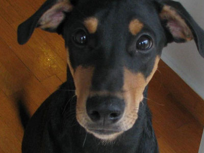 Αναζητά μία ζεστή αγκαλιά