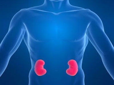 Ατελείωτη η αναμονή στη λίστα για νεφρό