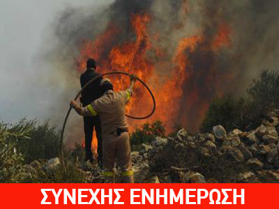 Φωτιές σε Λακωνία και Εύβοια