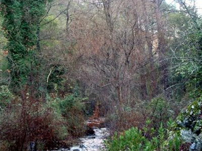 Νεκρή εντοπίστηκε η 57χρονη αγνοούμενη από τη Ζάκυνθο