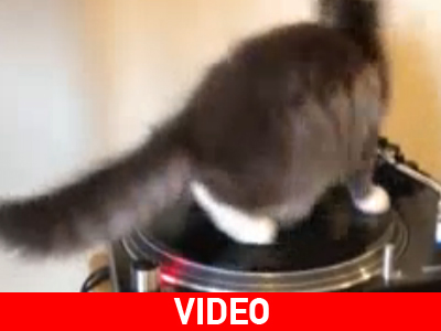 Bob Marley for ever!