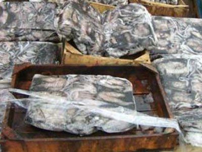 Κατάσχεση τεσσάρων τόνων ακατάλληλων αλιευμάτων