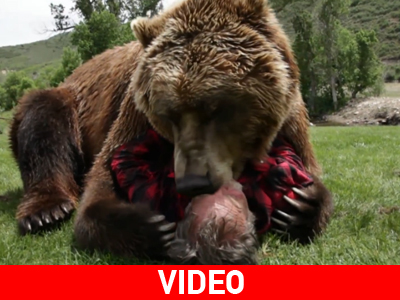 Ζει στο ίδιο σπίτι με τέσσερις αρκούδες