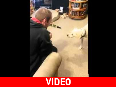 Ο ένας προσέχει τον άλλο