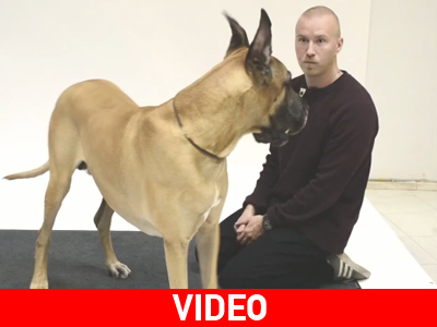 Η αντίδραση των σκύλων στο… γαύγισμα ενός ανθρώπου!