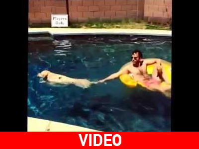 Πηγαίνει βόλτα το αφεντικό του