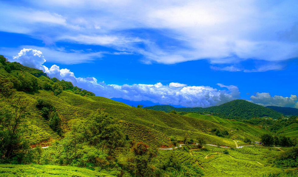Τα καταπράσινα βουνά της Μαλαισίας