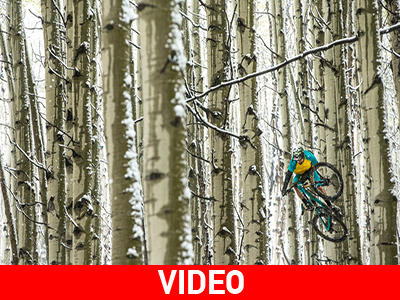 Στο όρος Elk του Κολοράντο