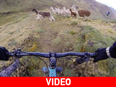 Χαμένοι στο Περού