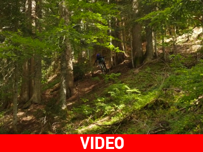 Αλπικό roadtrip