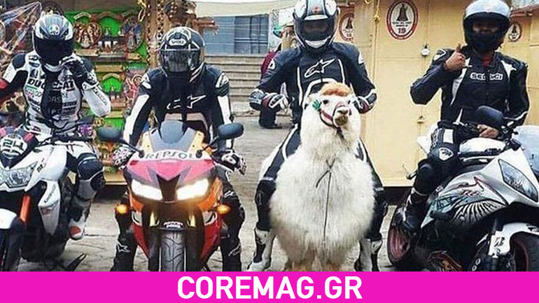 Οι πιο αστείες φωτογραφίες της εβδομάδας Οι πιο αστείες φωτογραφίες της εβδομάδας