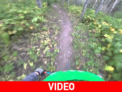 Ο ποδηλάτης και η αρκούδα