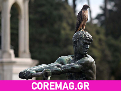 Πουλί κουτσουλάει δημοσιογράφο την ώρα της συνέντευξης