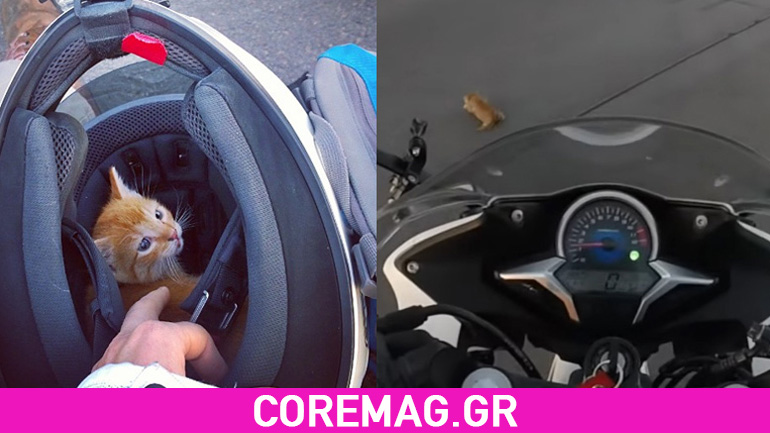 Μοτοσυκλετίστρια σώζει ένα γατάκι από κεντρική διασταύρωση