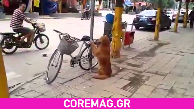 Άμα θες ακούμπα το…