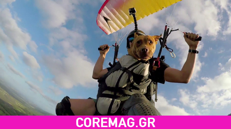Σκύλος πάει βόλτα… με αλεξίπτωτο πλαγιάς!
