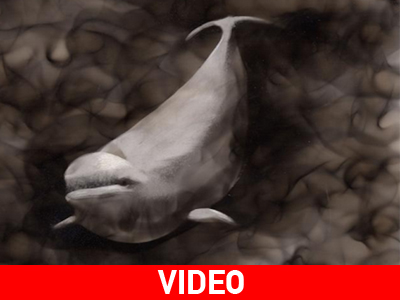 Ζωγραφική με φωτιά…