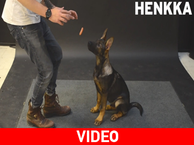 Σκύλοι αντιμέτωποι με… ιπτάμενο λουκάνικο