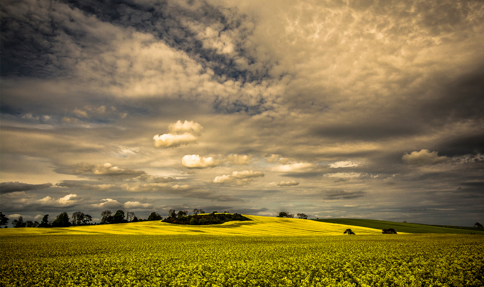 Toπίο σαν ζωγραφιά…