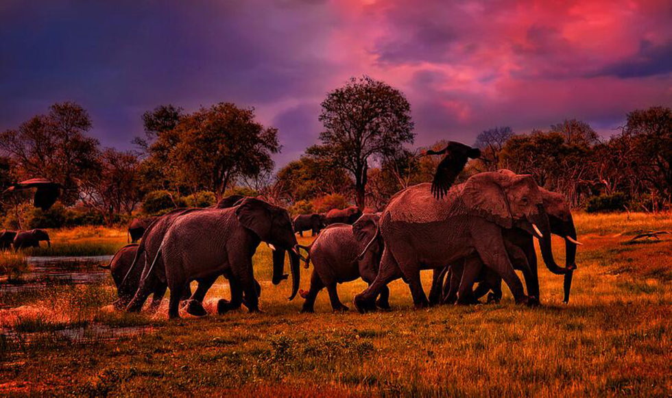 Βόλτα το ηλιοβασίλεμα…