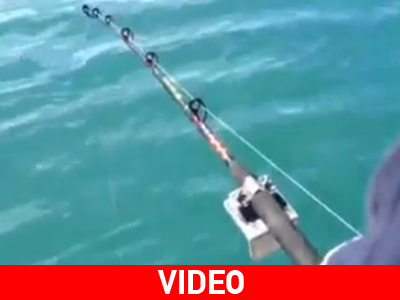 Πάντα θα ακολουθεί και ένα μεγαλύτερο ψάρι