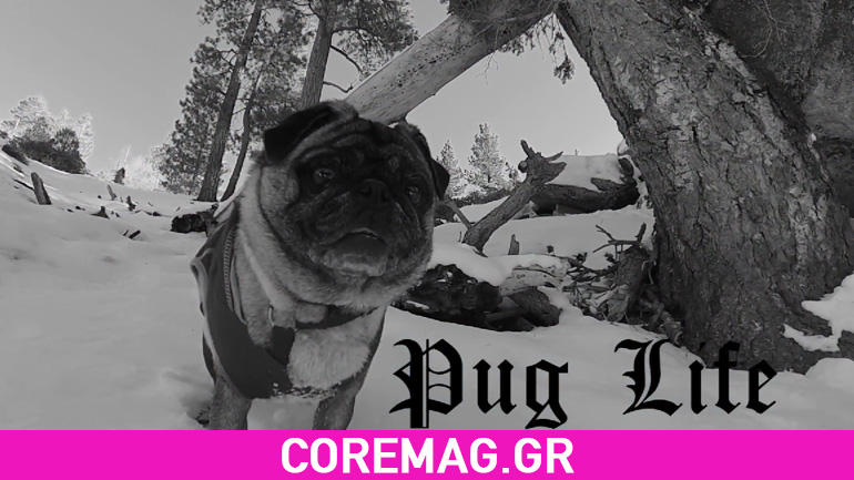 Μεγάλος Γκάνγκστερ το συγκεκριμένο Παγκ