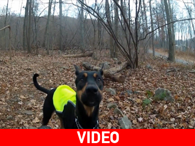 Ορεινή ποδηλασία με τον Ράμπο