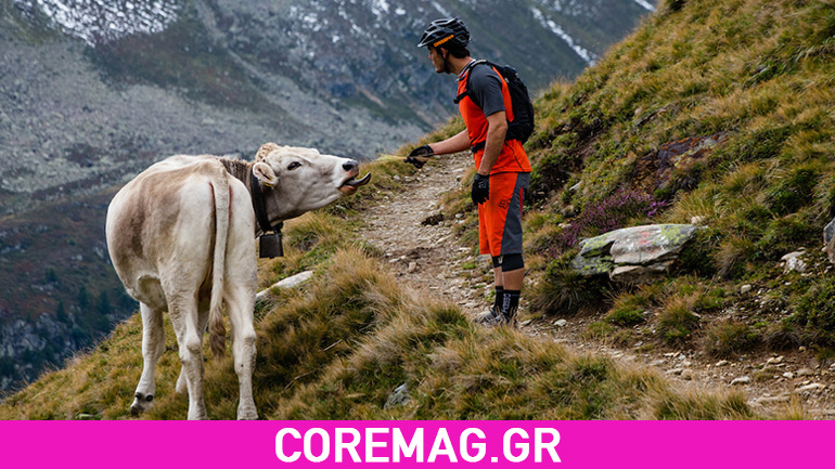 Εξερευνώντας τα μονοπάτια της Ελβετίας