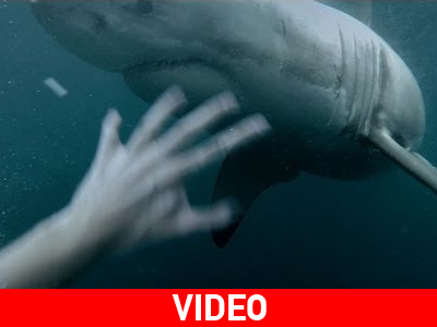 Σίδνεϊ: Βουτιά θανάτου