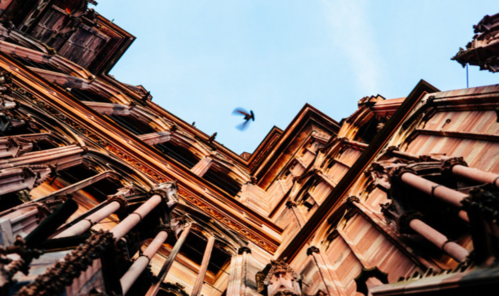 Contre Plongée: λήψη φωτογραφίας από κάτω προς τα πάνω