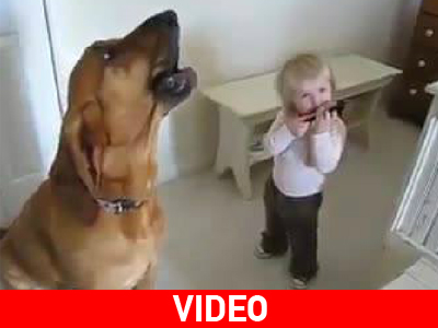 Blues αλά σκυλάδικα