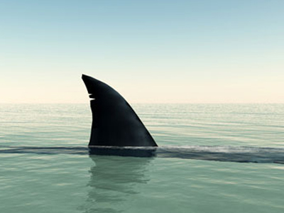 Εδέσματα με πτερύγια καρχαρία… τέλος