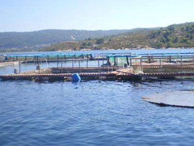 “Ανακωχή” μεταξύ Ιχθυολόγων και Υπουργείου Παιδείας