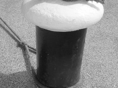 Από το λιμάνι στο…νοσοκομείο