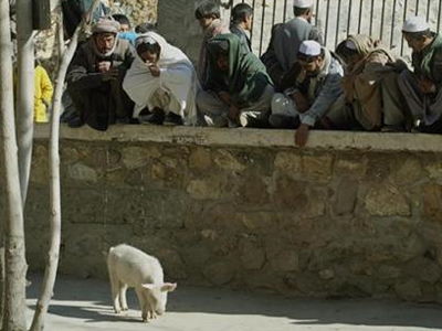 H γρίπη “χτύπησε” στο Αφγανιστάν