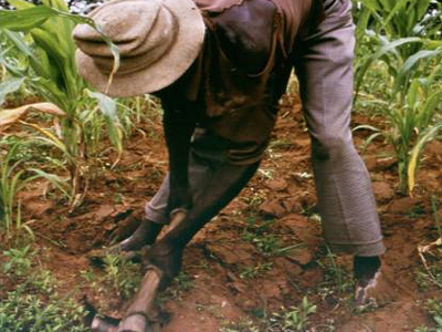 Η Αφρική στο έλεος των κλιματικών αλλαγών