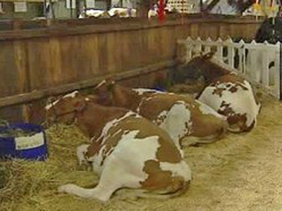 Πρόβλημα στα μάτια… λόγω ούρων