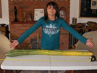 Αγγούρι 1,19 μέτρων!