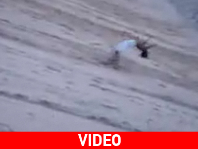 Ακροβατικά στην παραλία!