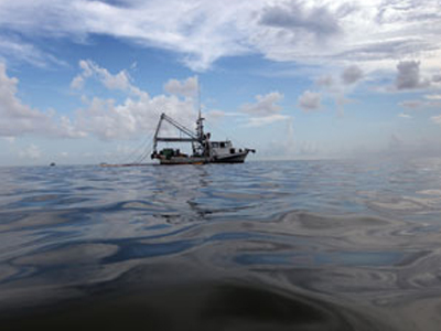 «Εμπόδιο» η Alex στον καθαρισμό του Κόλπου του Μεξικού